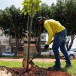 GDF INVESTE NO COMBATE À SECA