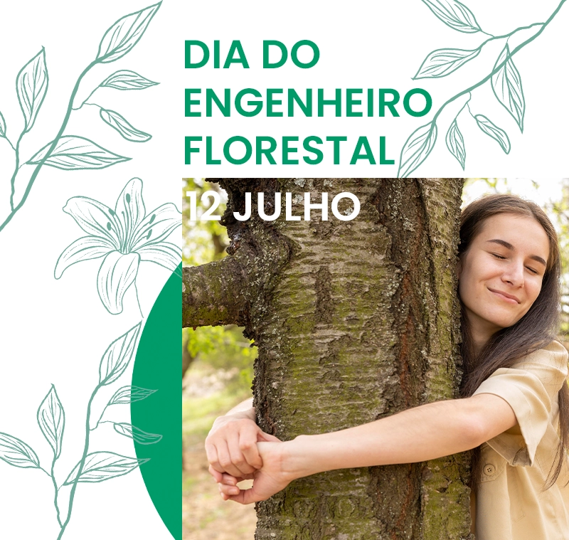 ENGENHEIRO FLORESTAL