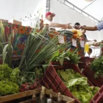 PREÇO DOS ALIMENTOS REDUZ INFLAÇÃO PREÇO DOS ALIMENTOS REDUZ INFLAÇÃO