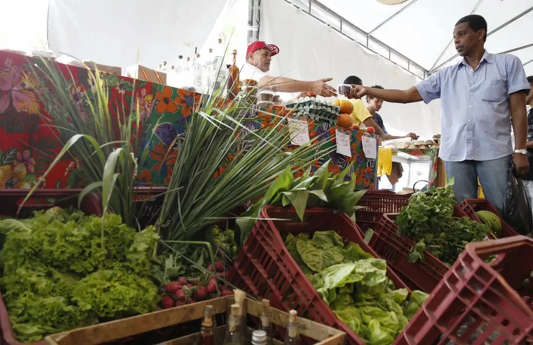 PREÇO DOS ALIMENTOS REDUZ INFLAÇÃO