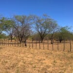 GUIA PARA ENFRENTAR EL NIÑO