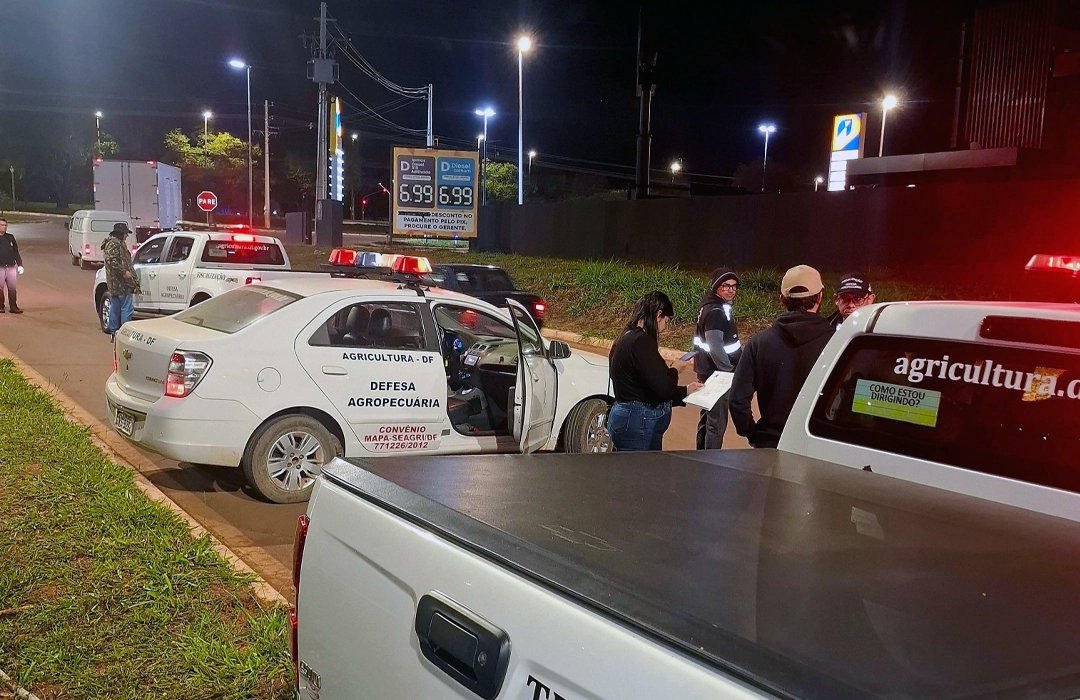 DF APREENDE CARGAS DE GOIÁS