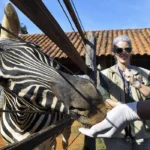 COMIDA PARA O ZOOLÓGICO