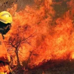 DF TEM 3.200 INCÊNDIOS FLORESTAIS
