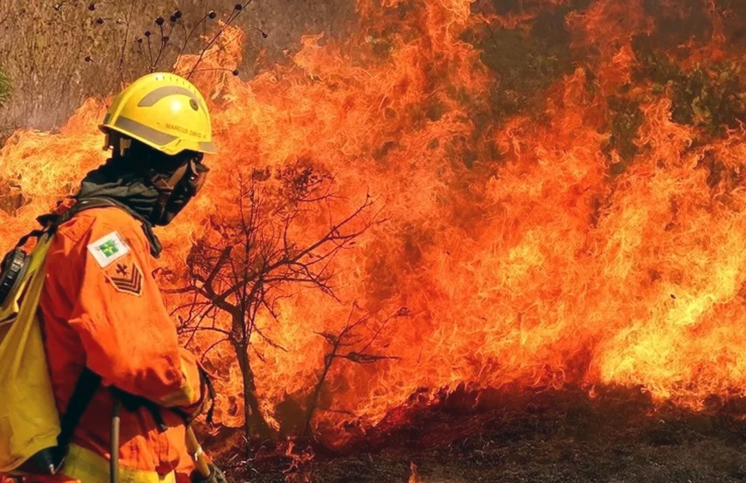 DF TEM 3.200 INCÊNDIOS FLORESTAIS