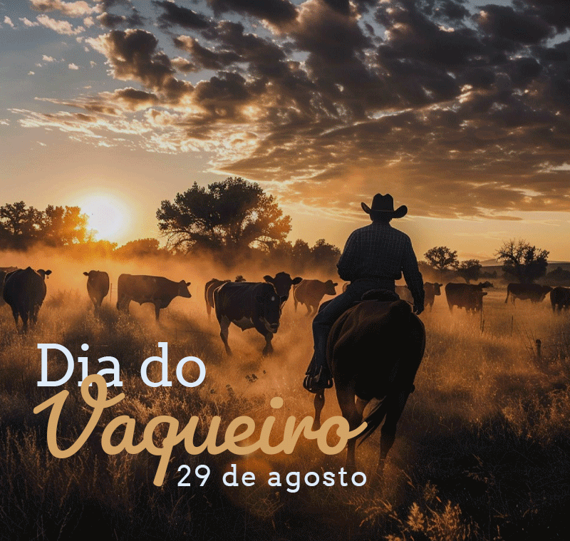 dia-do-vaqueiro_2026_2