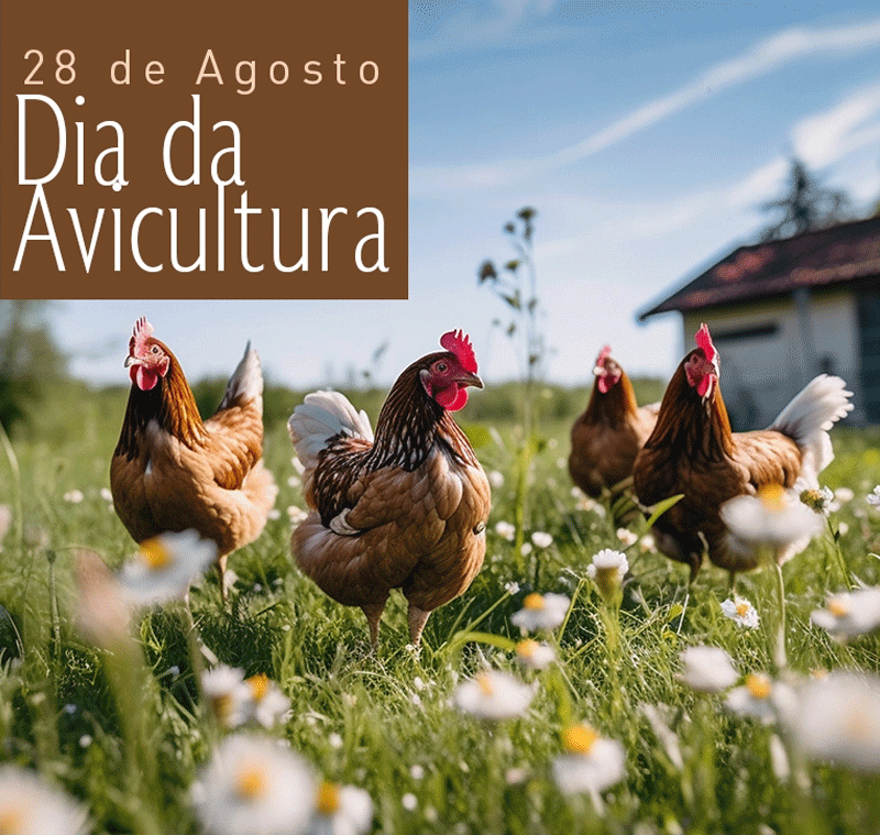 dia-do-vaqueiro_2026_3