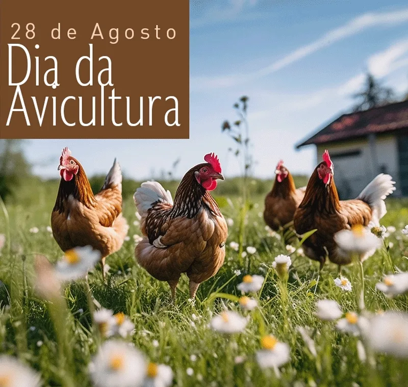 dia-do-vaqueiro_2026_3