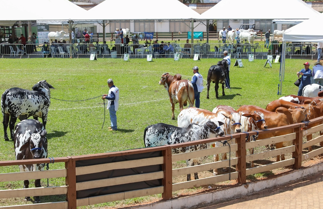 34ª EXPOABRA