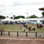 VEM AÍ A 34ª EXPOABRA VEM AÍ A 34ª EXPOABRA