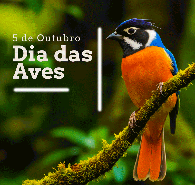 animacao-animais-e-aves_2