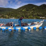 AQUICULTURA GANHA NOVAS REGRAS