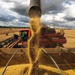 CRÉDITO RURAL SOMA R$ 65,7 BILHÕES