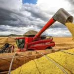 PRODUÇÃO CHEGA A R$ 927 BILHÕES