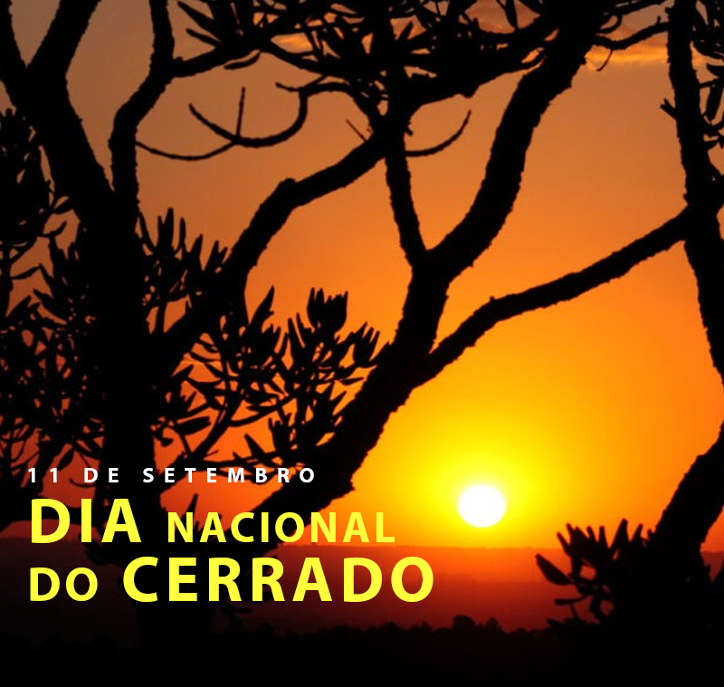 dia naciona do cerrado