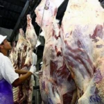 GOIÁS AMPLIA VENDA DE CARNES