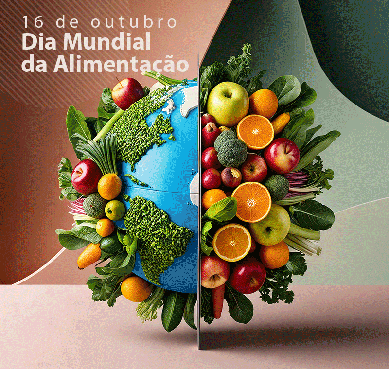 animacao-4