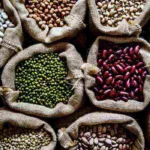 AGRO COLHE BONS FRUTOS EM 2026