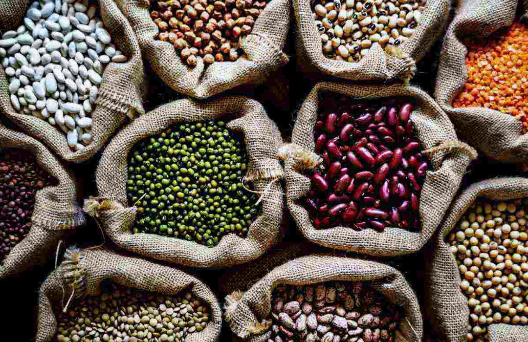 AGRO COLHE BONS FRUTOS EM 2026