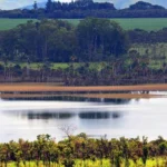 CERRADO PERDE UM AMAPÁ