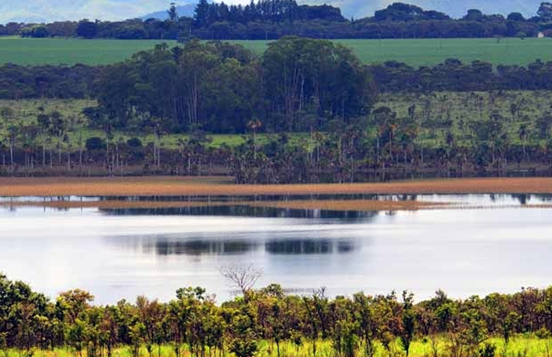 CERRADO PERDE UM AMAPÁ