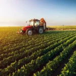 MS AGRO 2026