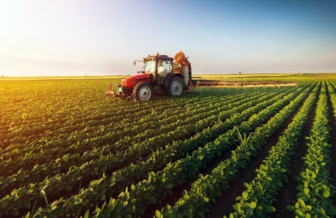 MS AGRO 2026